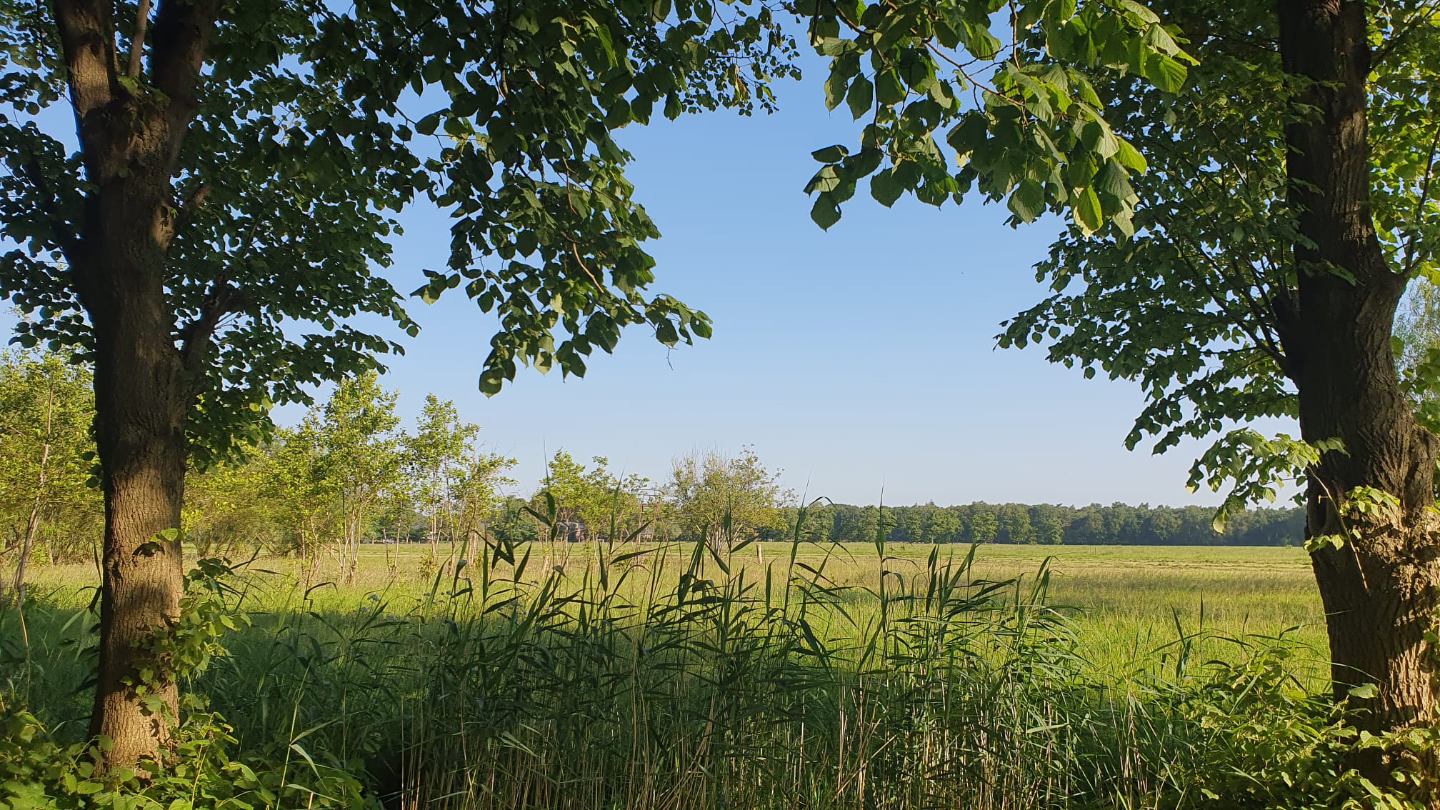 Aan het laden...